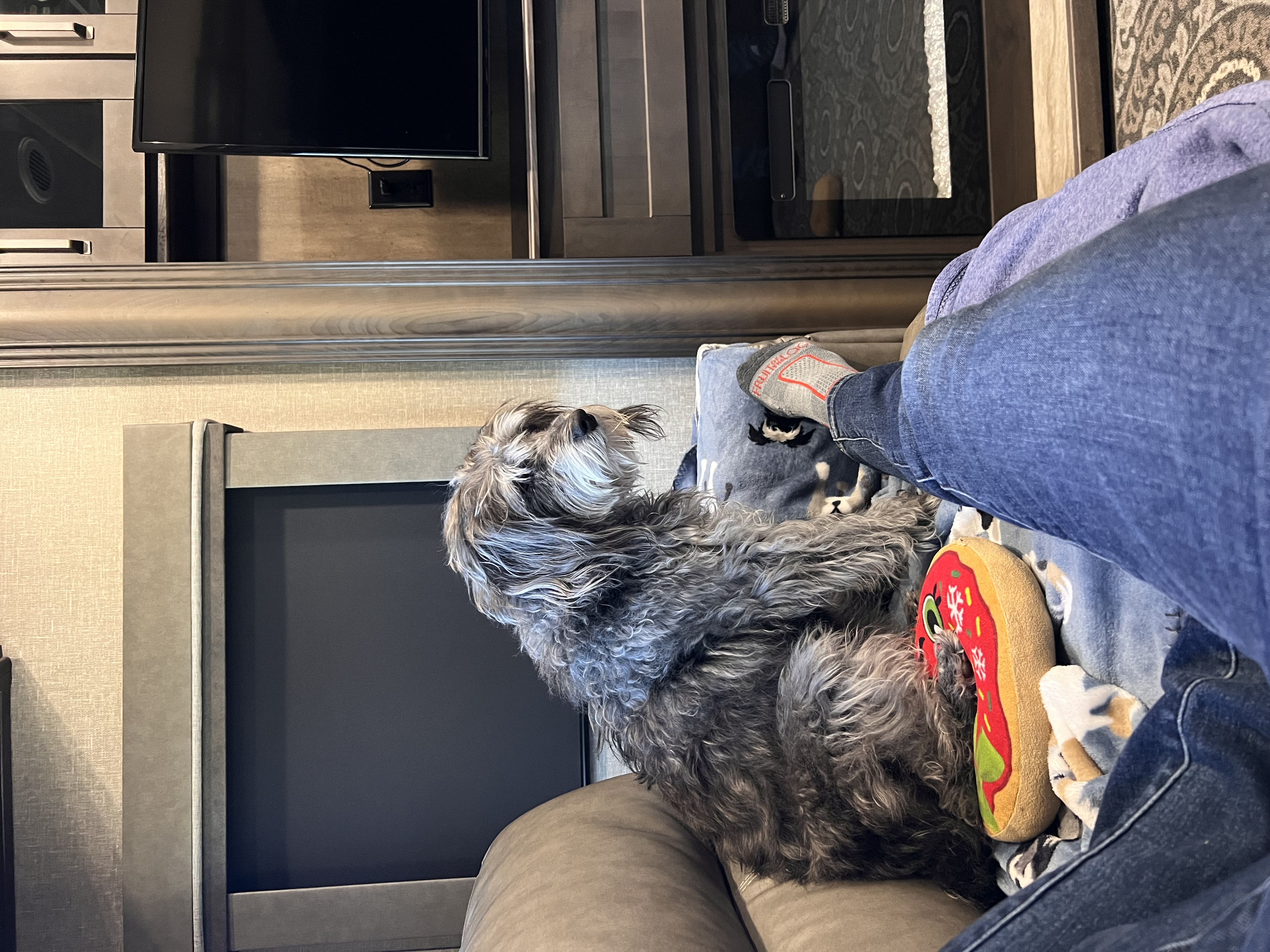 ./2023/01 - New Bern/IMG_6268.JPG